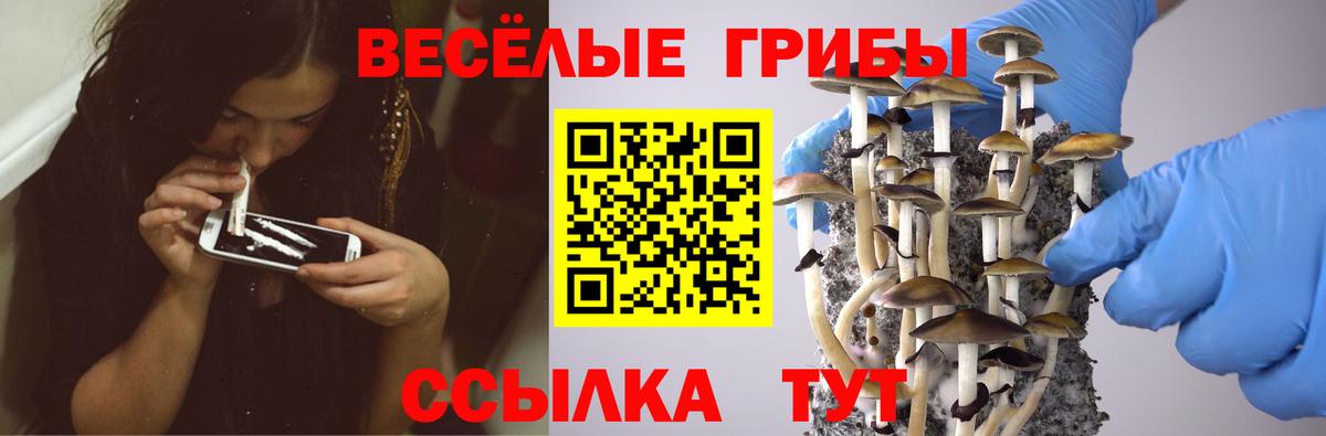 Псилоцибиновые грибы ЛСД Кострома
